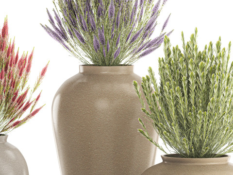 जंगली फूलों के गुलदस्ते कैलुना लैवेंडर संग्रह बर्तन फूलदान सेट 3D मॉडल