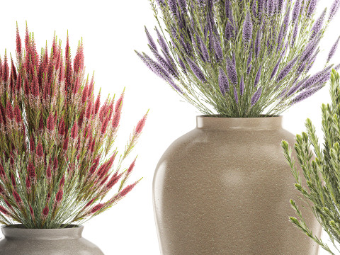 जंगली फूलों के गुलदस्ते कैलुना लैवेंडर संग्रह बर्तन फूलदान सेट 3D मॉडल