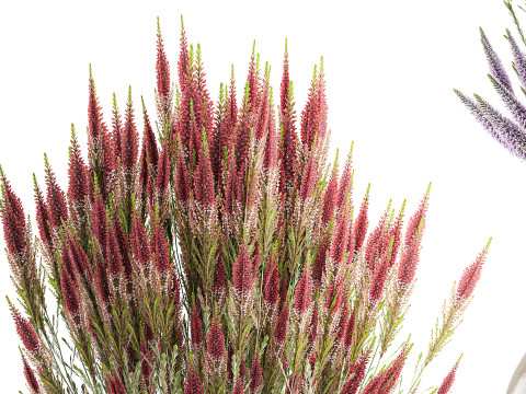 जंगली फूलों के गुलदस्ते कैलुना लैवेंडर संग्रह बर्तन फूलदान सेट 3D मॉडल