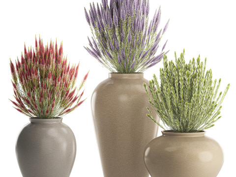 जंगली फूलों के गुलदस्ते कैलुना लैवेंडर संग्रह बर्तन फूलदान सेट 3D मॉडल