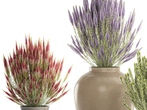 जंगली फूलों के गुलदस्ते कैलुना लैवेंडर संग्रह बर्तन फूलदान सेट 3D मॉडल