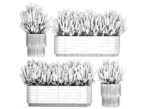 Collezione di cespugli di fiori di campo bianchi Calluna vasi di rosmarino Modello 3D