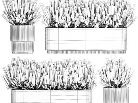 Collezione di cespugli di fiori di campo bianchi Calluna vasi di rosmarino Modello 3D