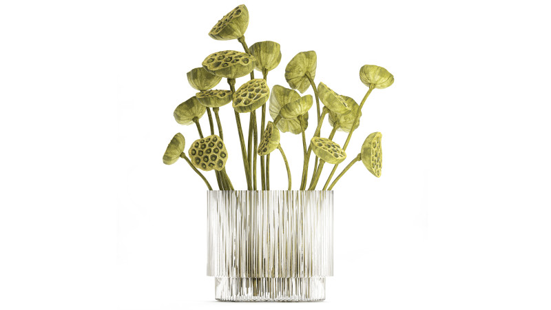 Um lindo buqu&ecirc; de vaso de ramos de l&oacute;tus verdes secos Modelo 3D .c4d .max .obj .3ds .fbx .stl .blend 