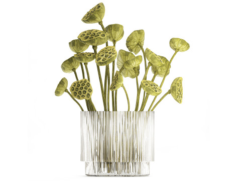 Een prachtig boeket gedroogde groene lotustakken vaas 3D Model