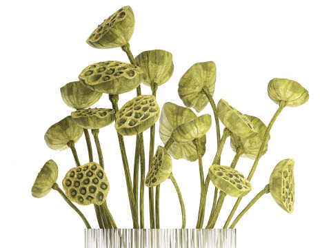 Um lindo buqu&ecirc; de vaso de ramos de l&oacute;tus verdes secos Modelo 3D