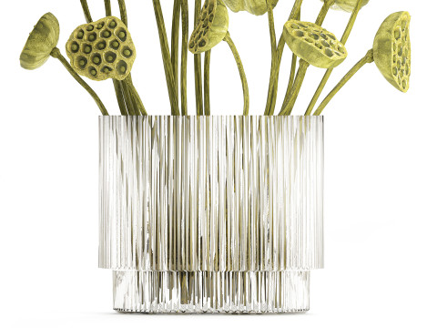 Um lindo buqu&ecirc; de vaso de ramos de l&oacute;tus verdes secos Modelo 3D