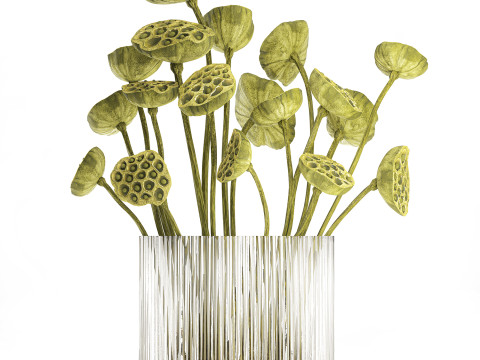 Um lindo buqu&ecirc; de vaso de ramos de l&oacute;tus verdes secos Modelo 3D