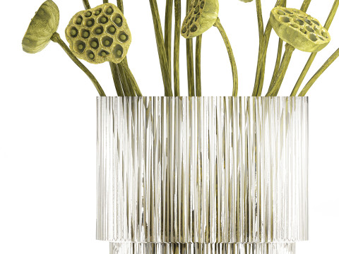 Um lindo buqu&ecirc; de vaso de ramos de l&oacute;tus verdes secos Modelo 3D