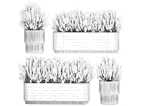 Collection flowers bush rosemary lavender Calluna pots 3D Model