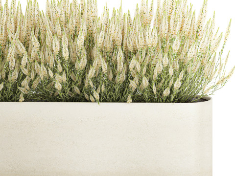 Collectie bloemen struik rozemarijn lavendel Calluna potten 3D Model