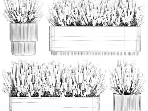 Collectie bloemen struik rozemarijn lavendel Calluna potten 3D Model