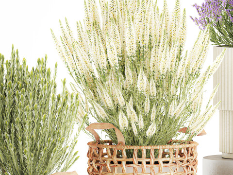 Arbustos flores cestas Calluna lavanda romero macetas decoraci&oacute;n Modelo 3D