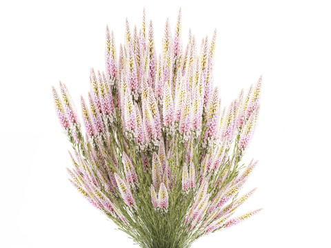 Um lindo buqu&ecirc; exuberante de flores silvestres em um vaso Modelo 3D