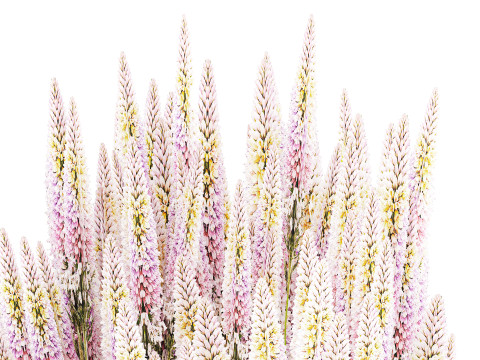 Um lindo buqu&ecirc; exuberante de flores silvestres em um vaso Modelo 3D