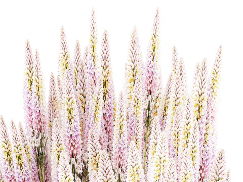 A Beautiful Lush Bouquet Of Wildflowers In A Vase 3D Model