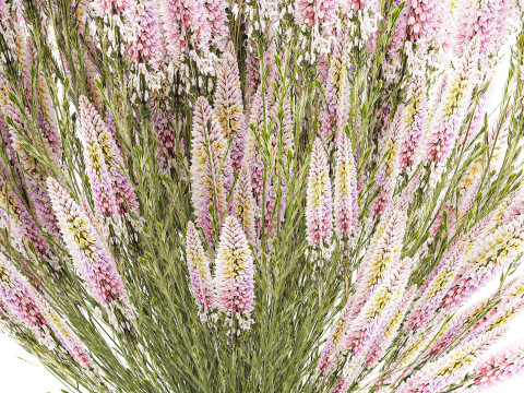 Um lindo buqu&ecirc; exuberante de flores silvestres em um vaso Modelo 3D