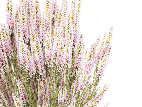 Um lindo buqu&ecirc; exuberante de flores silvestres em um vaso Modelo 3D