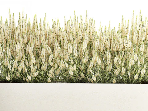 Collezione fiori Calluna Rosmarino Lavanda in vasi a cespuglio Modello 3D