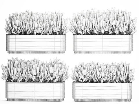Collezione fiori Calluna Rosmarino Lavanda in vasi a cespuglio Modello 3D