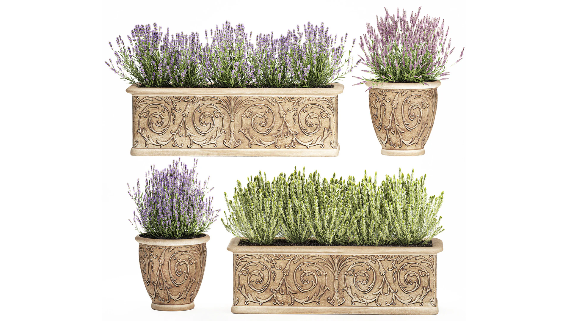 Collection flowers rosemary lavender bush classic outdoor vases 3D Model .c4d .max .obj .3ds .fbx .stl .blend 