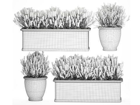 Collezione fiori rosmarino lavanda cespuglio classici vasi da esterno Modello 3D