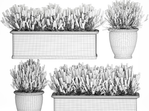 Collezione fiori rosmarino lavanda cespuglio classici vasi da esterno Modello 3D