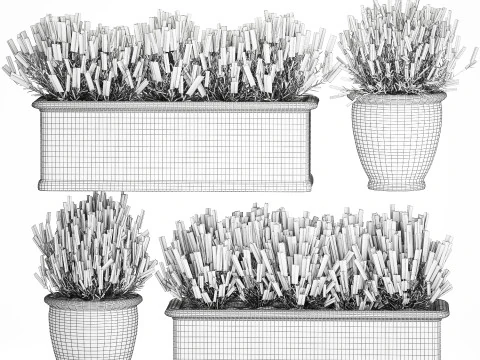 Collection flowers rosemary lavender bush classic outdoor vases 3D Model