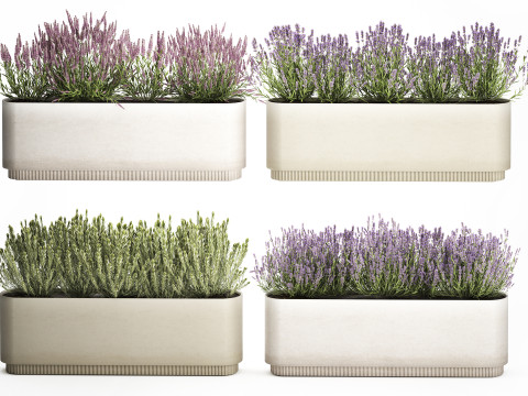 Wildflower bushes flowerpots rosemary lavender set decor 3D Model