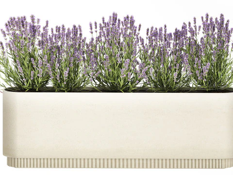 야생화 덤불 화분 로즈마리 라벤더 세트 장식 3D 모델