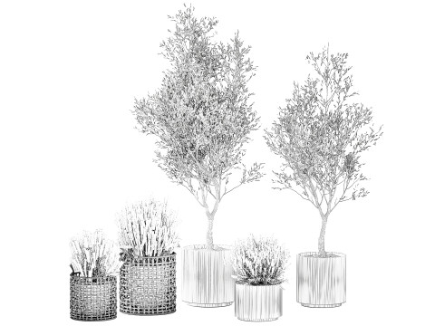 Piante da fiori in cestini vasi ulivo lavanda decoro Modello 3D