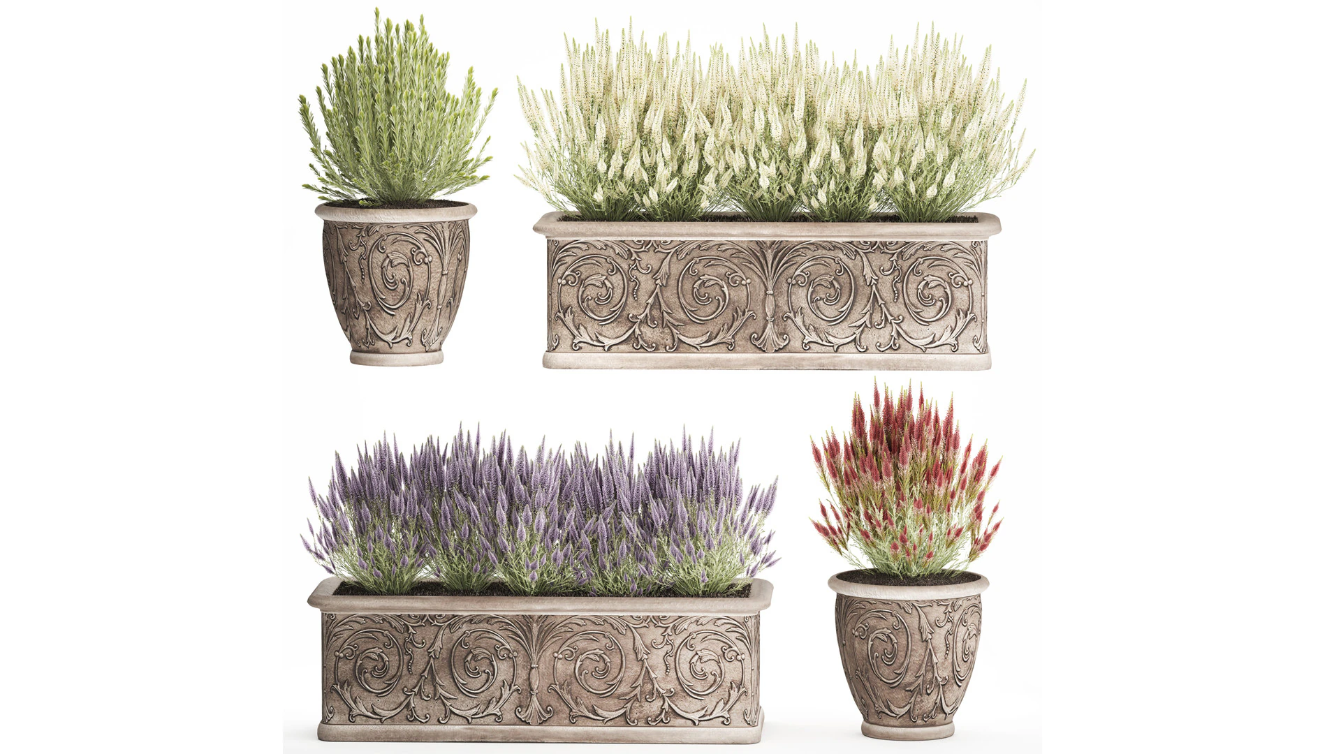 Wildflower bushes classic pot Calluna lavender rosemary set 3D Model .c4d .max .obj .3ds .fbx .stl .blend 