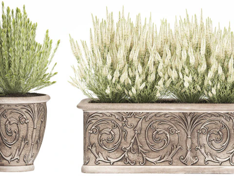 Wildflower bushes classic pot Calluna lavender rosemary set 3D Model