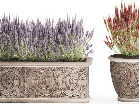 Wildflower bushes classic pot Calluna lavender rosemary set 3D Model
