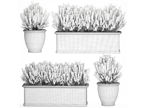 Wildflower bushes classic pot Calluna lavender rosemary set 3D Model