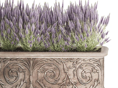 Wildflower bushes classic pot Calluna lavender rosemary set 3D Model