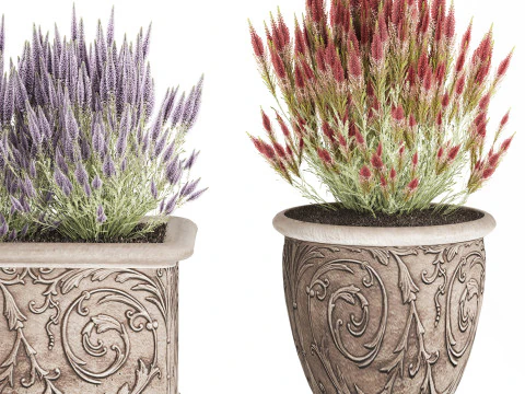 Wildflower bushes classic pot Calluna lavender rosemary set 3D Model