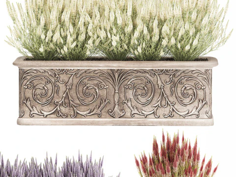 Wildflower bushes classic pot Calluna lavender rosemary set 3D Model