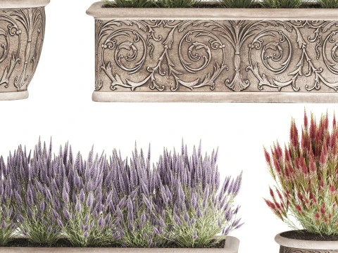 Wildflower bushes classic pot Calluna lavender rosemary set 3D Model