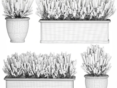 Wildflower bushes classic pot Calluna lavender rosemary set 3D Model