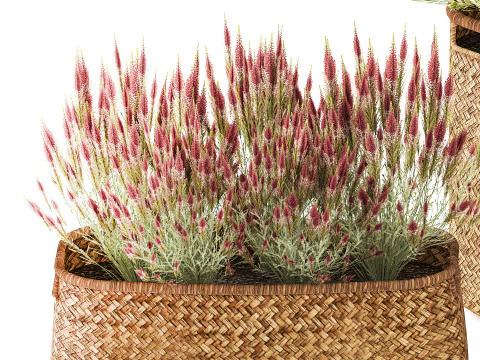 Set Cespugli Fiori Cesti Calluna Lavanda Rosmarino decoro Modello 3D