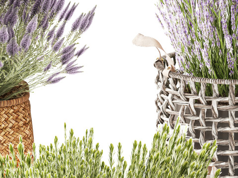 Conjunto Arbustos Flores Cestas Calluna Lavanda Alecrim decora&ccedil;&atilde;o Modelo 3D