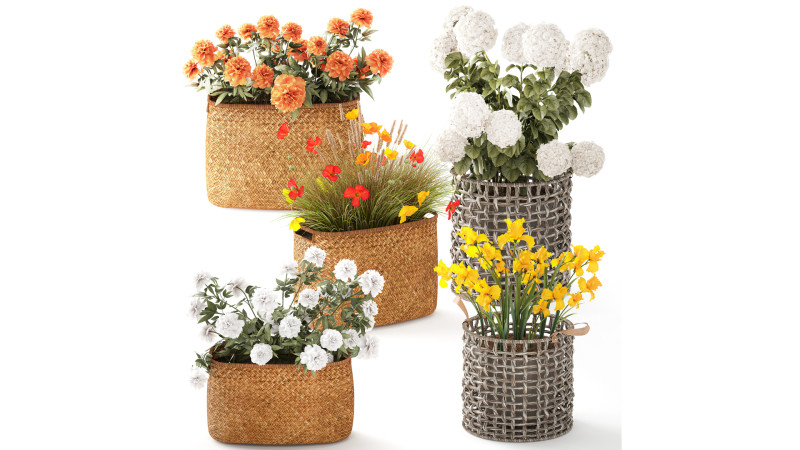 Ortensia Peonia Papavero Iris Cespugli di fiori Cesti da giardino Modello 3D .c4d .max .obj .3ds .fbx .stl .blend