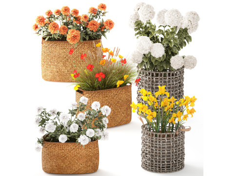 Hydrangea Peony Poppy Iris Flower Bushes Baskets garden 3D Model