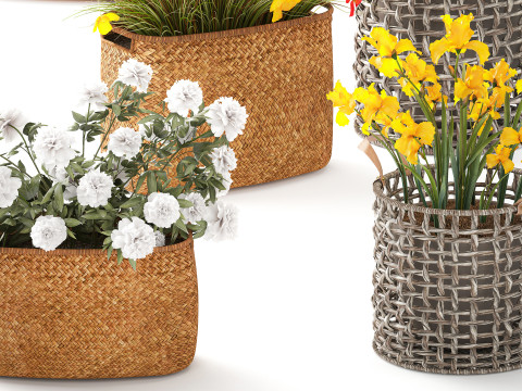 Ortensia Peonia Papavero Iris Cespugli di fiori Cesti da giardino Modello 3D