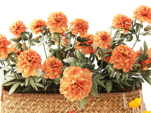 Ortensia Peonia Papavero Iris Cespugli di fiori Cesti da giardino Modello 3D