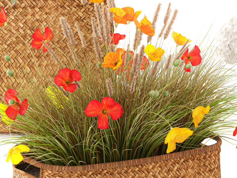 Ortensia Peonia Papavero Iris Cespugli di fiori Cesti da giardino Modello 3D