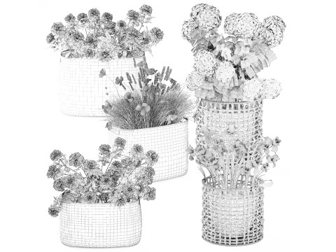 Ortensia Peonia Papavero Iris Cespugli di fiori Cesti da giardino Modello 3D