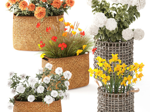 Ortensia Peonia Papavero Iris Cespugli di fiori Cesti da giardino Modello 3D