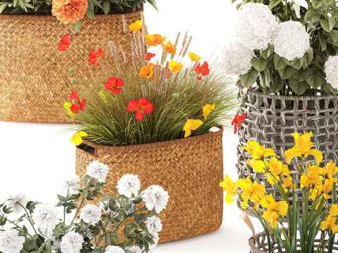 Ortensia Peonia Papavero Iris Cespugli di fiori Cesti da giardino Modello 3D